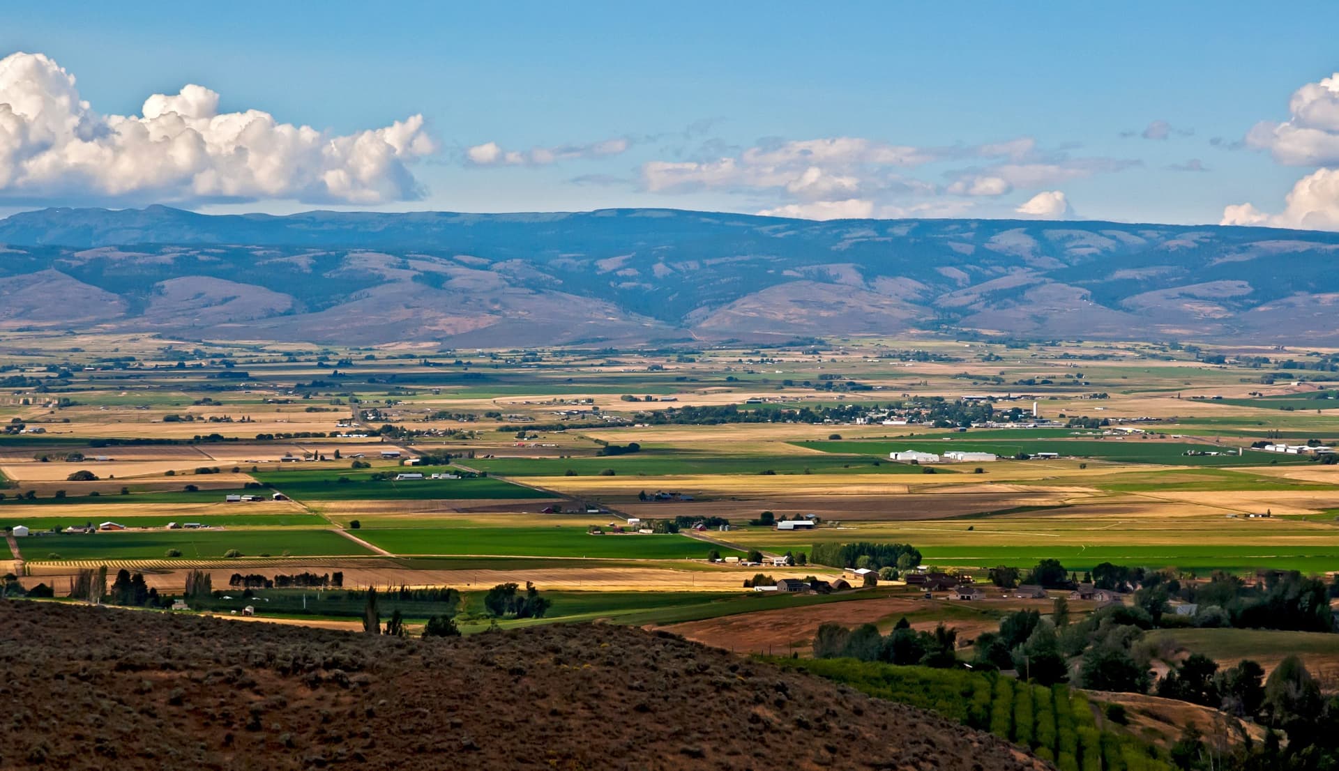 Central Columbia Basin market overview
